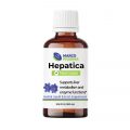 MARCO PHARMA: Hepatica