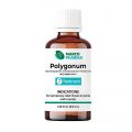 MARCO PHARMA: Polygonum