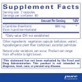 PURE: L-Carnitine