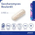 PURE:Saccharomyces B